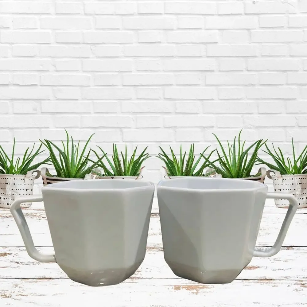 West Elm Geometric Porcelain Mugs